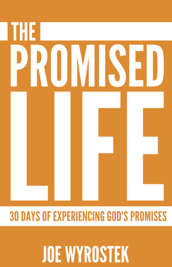 THE PROMISED LIFE